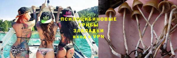прущая мука Алексин