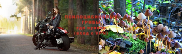 не бодяженный Алексеевка