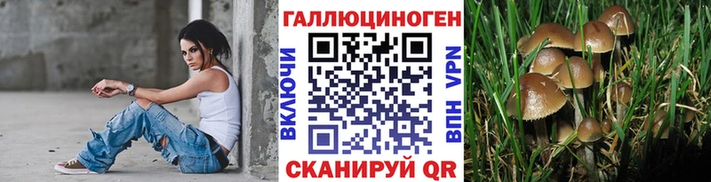 Галлюциногенные грибы GOLDEN TEACHER Льгов