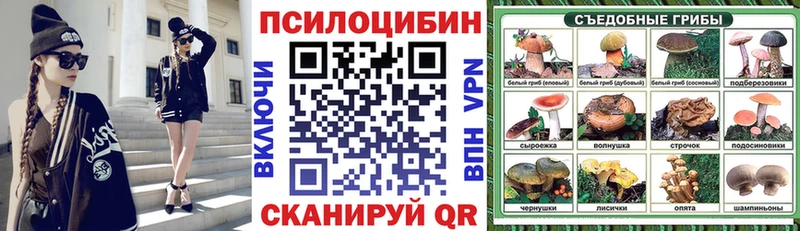 Псилоцибиновые грибы Psilocybine cubensis  Льгов 